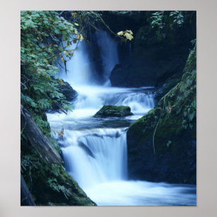 Poster da cachoeira