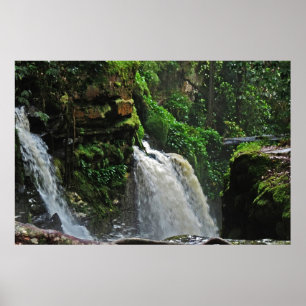 Poster da cachoeira da floresta húmida de Brasil
