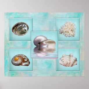 Poster da colagem dos Seashells - fundo do Aqua