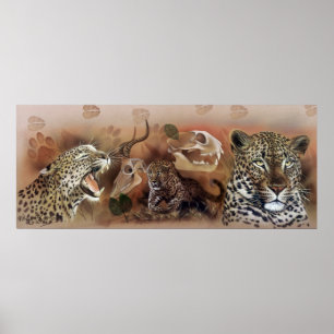 Poster da coleção do leopardo