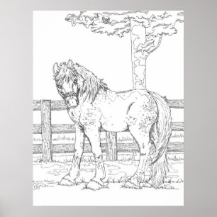 Poster da coloração do cavalo
