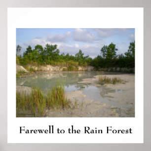 Poster da conservação da floresta húmida