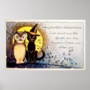 Poster da decoração do gato preto da coruja do D