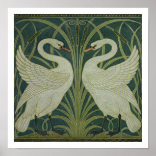 Pôster Da "design do papel de parede cisne, da