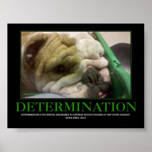 POSTER DA DETERMINAÇÃO!