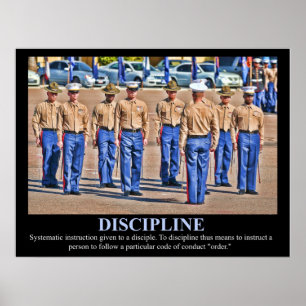 Poster da DISCIPLINA