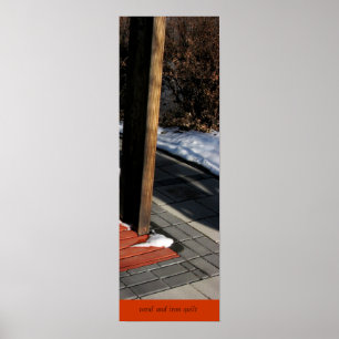 Poster da edredão do coral e do ferro