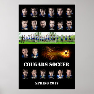 Poster da equipe Cougars