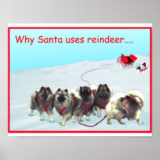 Poster da Equipe Sled