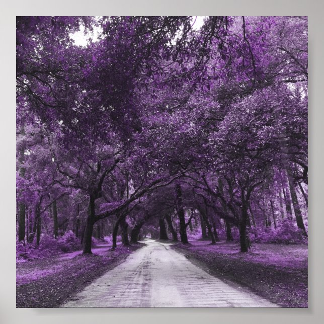 poster da estrada de segurança (Frente)