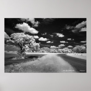 Poster da estrada do zurro