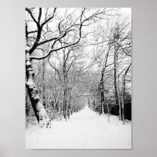 Poster da estrada nevado
