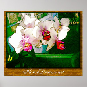 Poster da explosão da orquídea