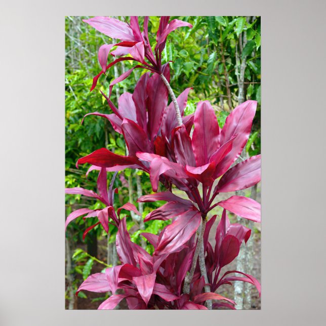 Poster da Fábrica de Ti Havaiana (Frente)