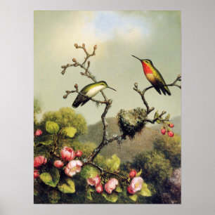 Poster da família do colibri e da flor de Apple