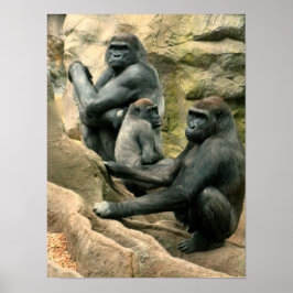 Poster da família Gorilla