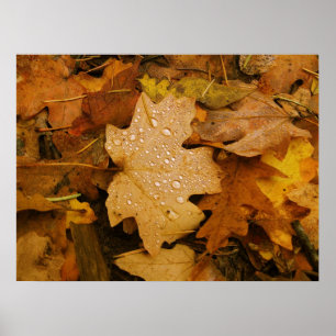 Poster da fantasia da queda (30)