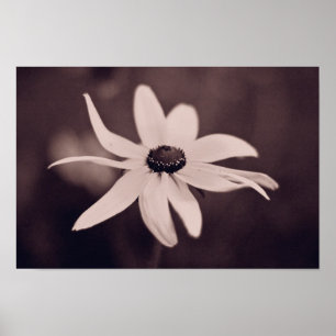 poster da flor