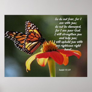 Poster da flor do girassol da borboleta de monarca