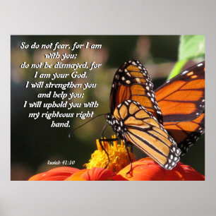 Poster da flor do girassol da borboleta de monarca