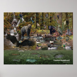 Poster da Floresta Costeira da Rainha