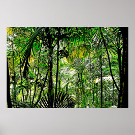 Poster da floresta tropical