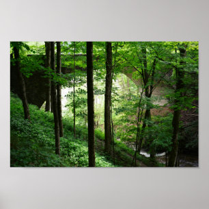 Poster da Floresta Verde da Ponte Letchworth