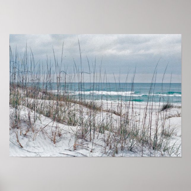Poster da Florida Panhandle Beach (Frente)