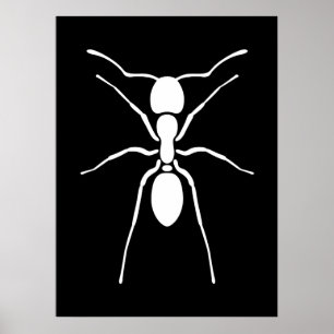 Poster da formiga branca