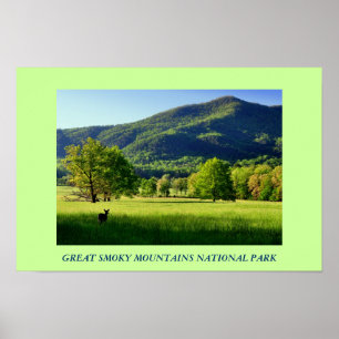 Poster da foto do parque nacional de Great Smoky
