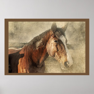 Poster da foto dos trabalhos de arte dos cavalos