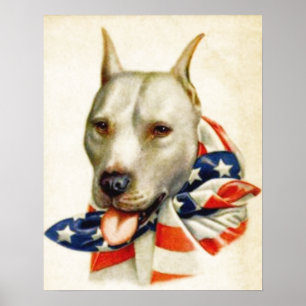 Poster da Guerra do Cão-Touro Patriótico Americano