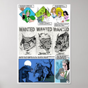 Poster da história do WC