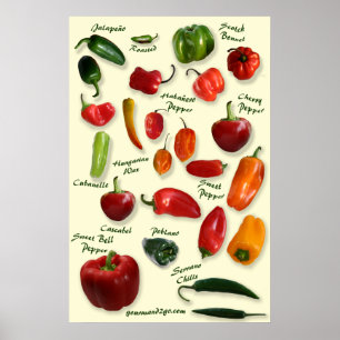 Poster da identificação do pimentão