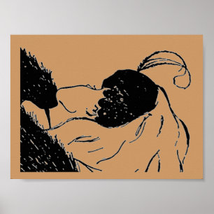 Poster da ilusão dos jovens ou da mulher adulta