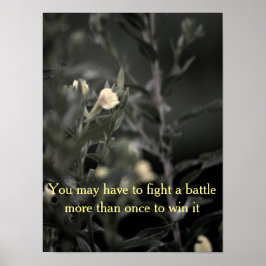 Poster da instalação de recuperação