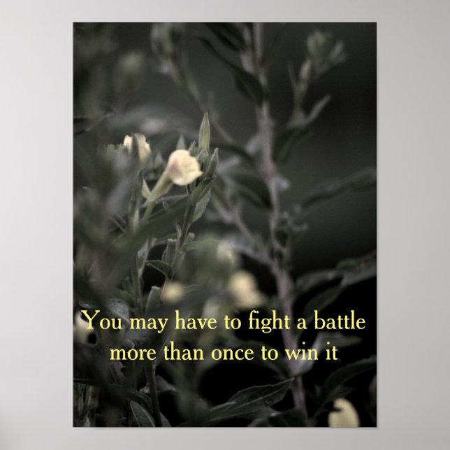 Poster da instalação de recuperação (Frente)