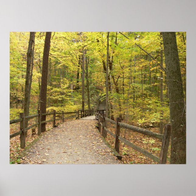 Poster da Intimidade do outono (Frente)