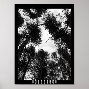 Poster da intuição