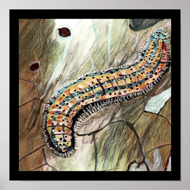 Poster 🐛 Da Lagarta Da 🦋 Da Borboleta Branca Oriental (Frente)