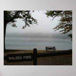 Poster da lagoa de Walden - névoa contemplativa