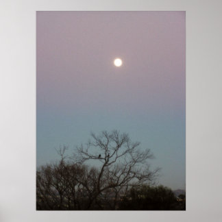 poster da lua do sol