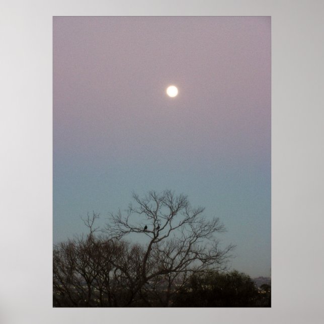 poster da lua do sol (Frente)