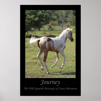 poster da Lua - Viagem