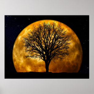 Poster da meia-noite da Lua cheia