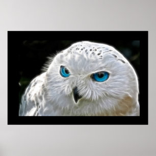 Poster da Muralha da Natureza do Pássaro Branco