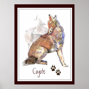 Poster da natureza animal do chacal do urro