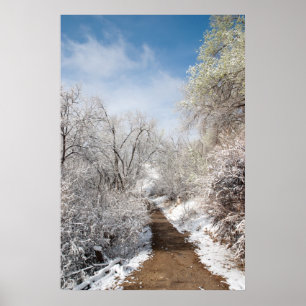 Poster da natureza da neve do primavera