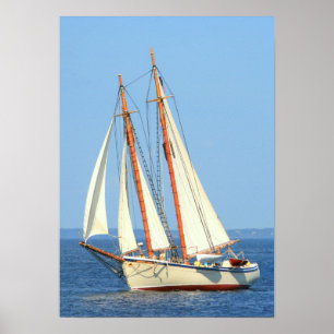 poster da navigação da escuna