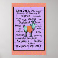 poster da nuvem de palavras capricorn